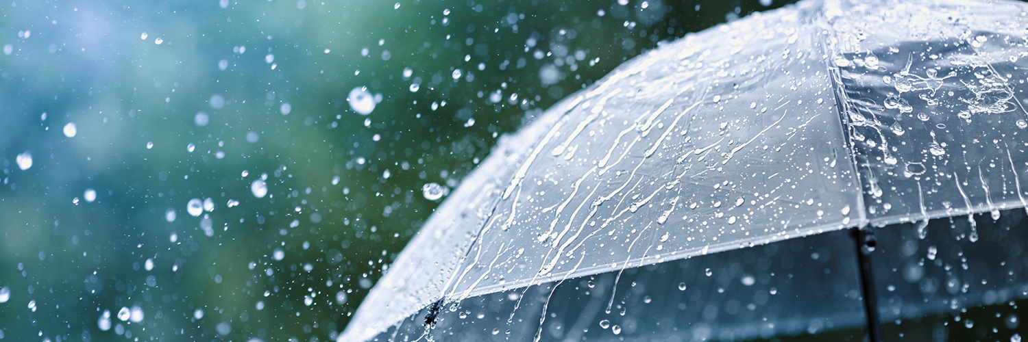 South Carolina Umbrella Insurance Coverage